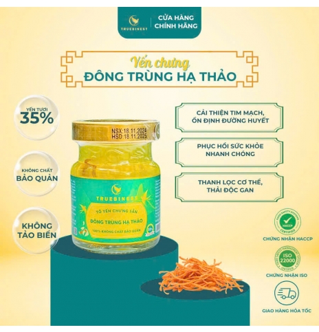 Tổ yến chưng đông trùng hạ thảo