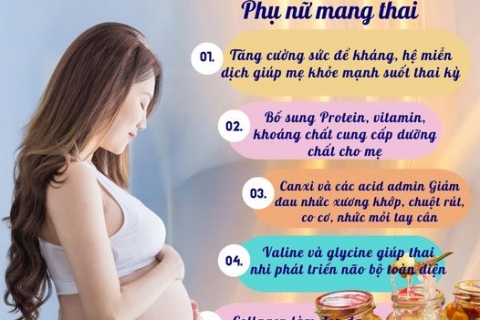 TÁC DỤNG CỦA YẾN SÀO ĐỐI VỚI PHỤ NỮ MANG THAI