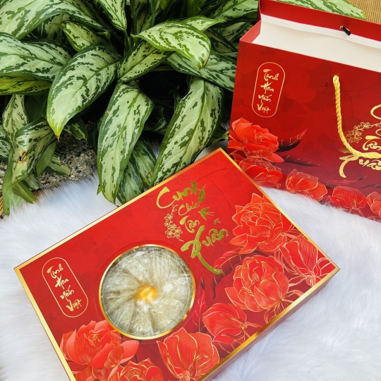 Set quà Yến Tổ 100G