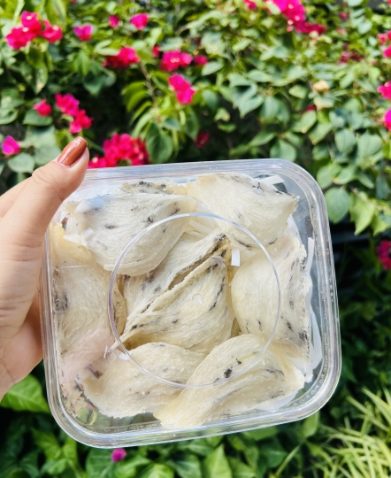 Tổ yến thô VIP 100G