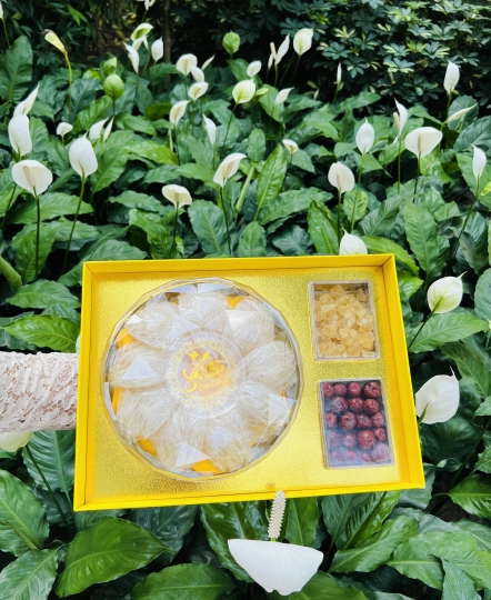 Set quà Yến Tổ tinh chế 100g