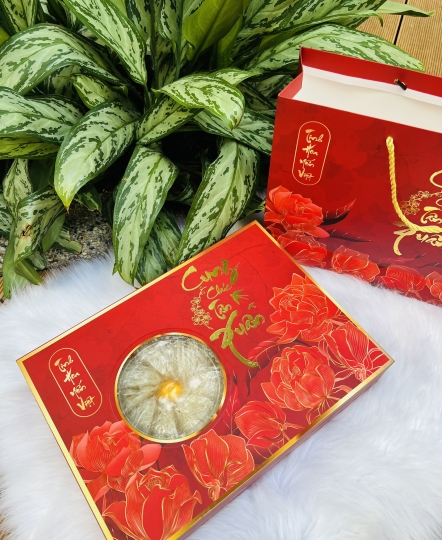 Set quà Yến Tổ 100G